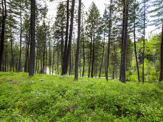 Land for sale in Bigfork, Montana