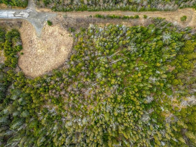 Land for sale in Charlotte, New Brunswick