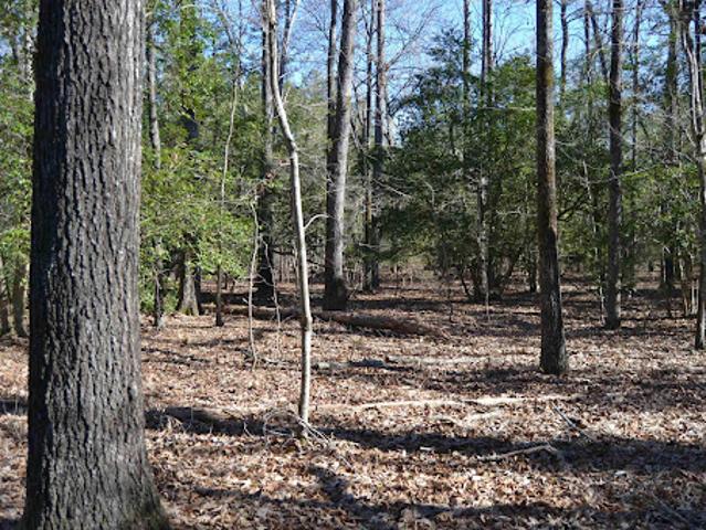 Land for sale in Columbia, South Carolina