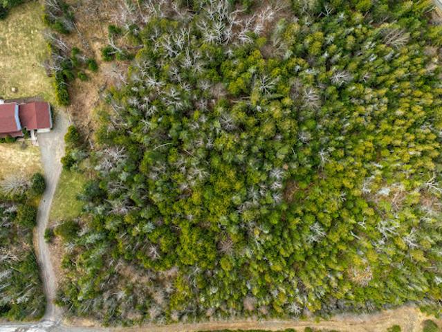 Land for sale in Charlotte, New Brunswick