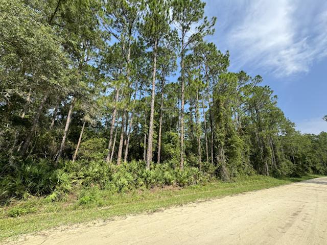Land for sale in Palatka, Florida