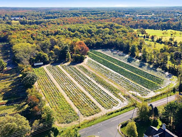 Land for sale in Freehold, Monmouth County