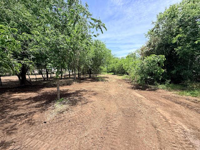 Land for sale in Medina, Texas