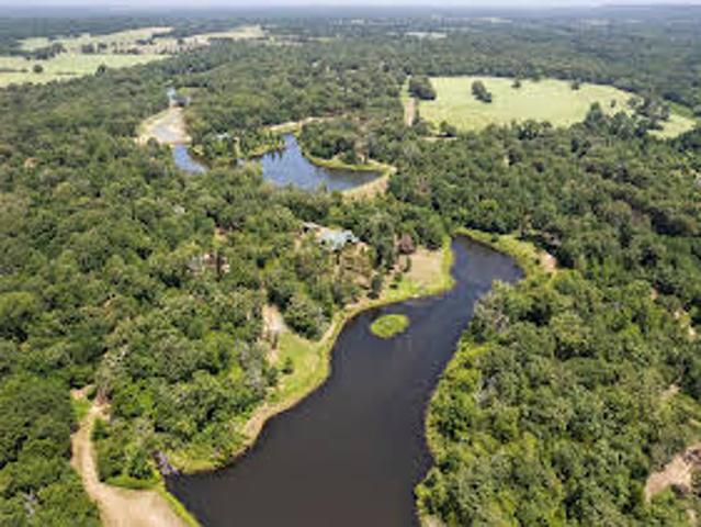 Land for sale in Montalba Land for sale in Montalba