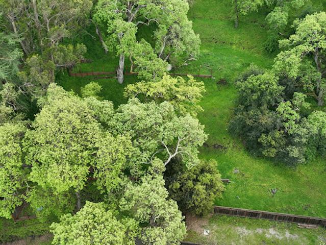 Land for sale in Walnut Creek, California