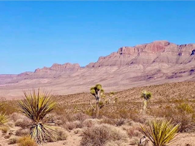 Land for sale in Meadview, Arizona