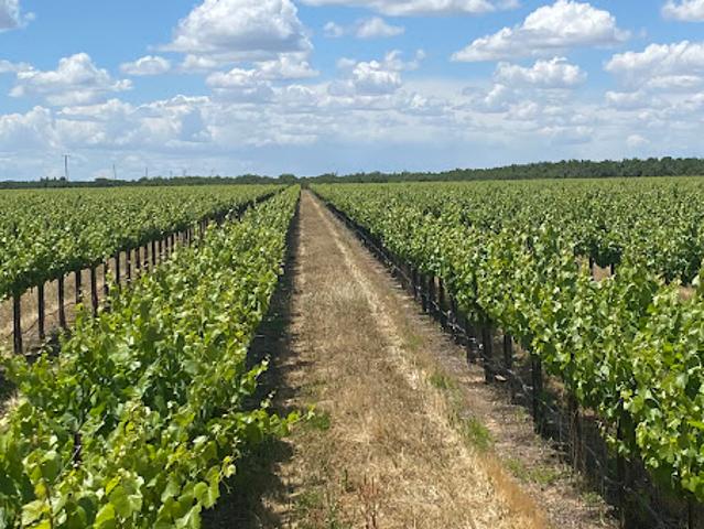 Land for sale in Madera