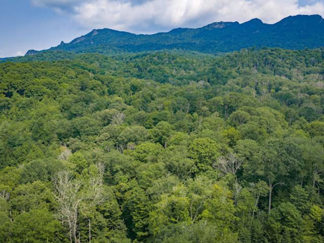 Land for sale in Avery, North Carolina