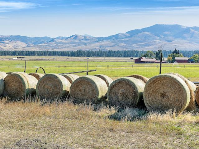 Land for sale in Ravalli, Montana