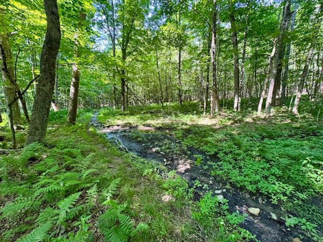 Land for sale in New Hampshire