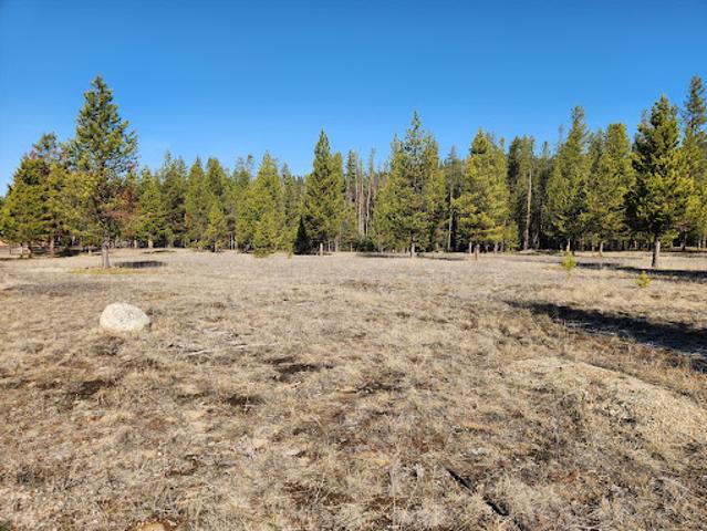 Land for sale in Ravalli, Montana