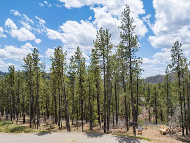 Land for sale in La Plata, Colorado