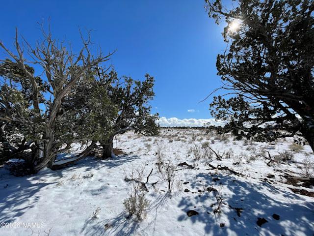Land for sale in Williams, Arizona