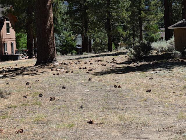 Land for sale in Big Bear Lake