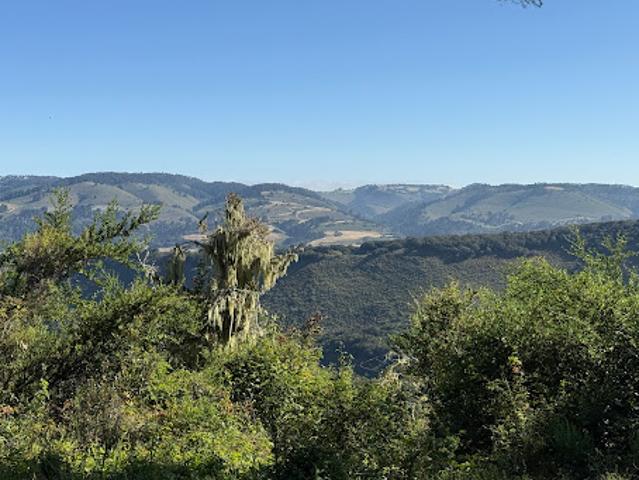Land for sale in Carmel, California