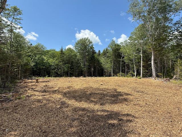 Land for sale in Wilmington, Vermont