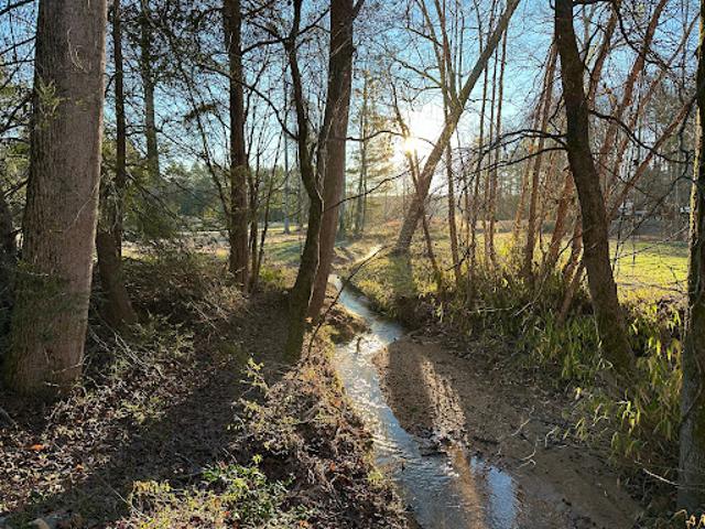 Land for sale in Walhalla Land for sale in Walhalla