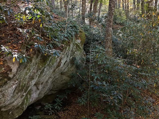 Land for sale in Boone, Watauga County