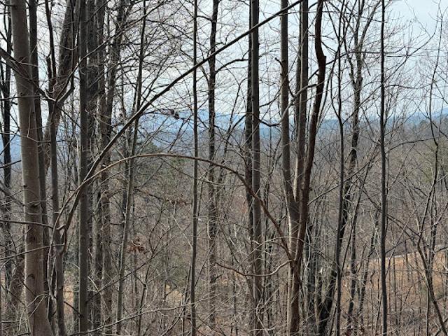 Land for sale in Rutherford, North Carolina