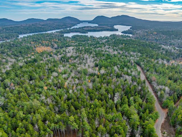 Land for sale in Mount Desert, Maine