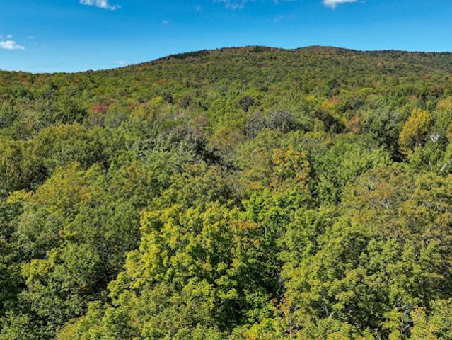 Land for sale in Ludlow, Vermont