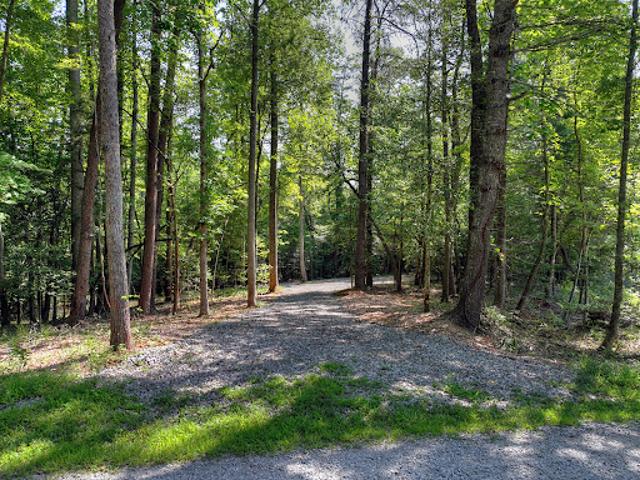 Land for sale in Blue Ridge, Georgia