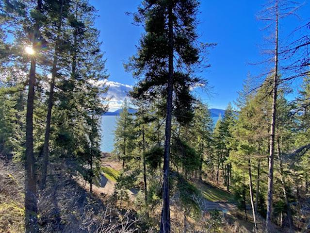 Land for sale in Hope, Idaho