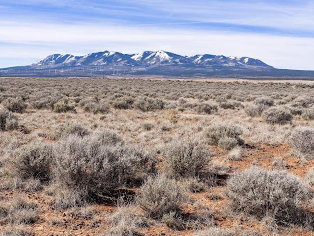 Land for sale in Monticello, Utah