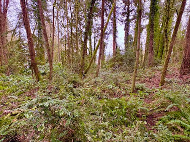Land for sale in Vashon, Washington