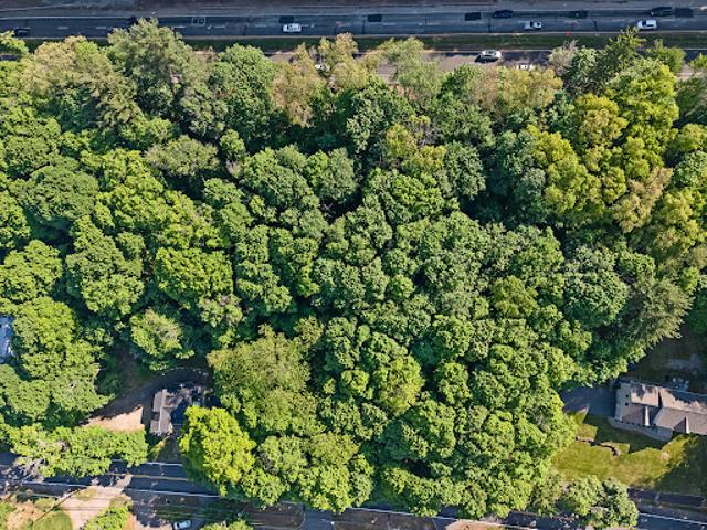 Land for sale in Randolph, New Jersey