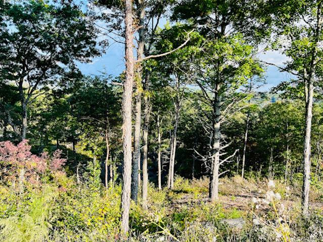 Land for sale in Georgia