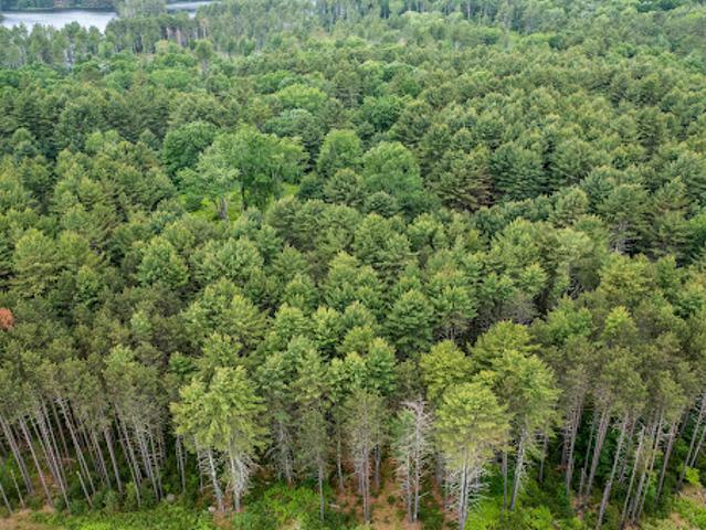 Land for sale in Monticello, New York