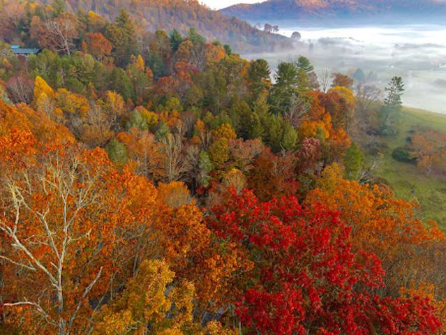 Land for sale in Haywood, North Carolina