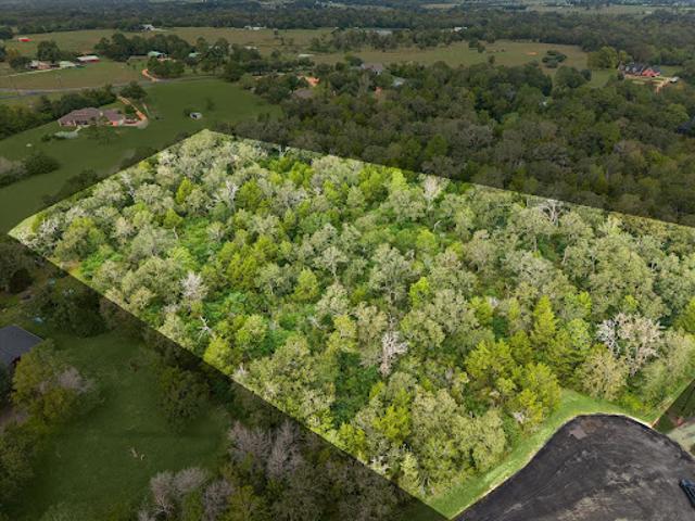 Land for sale in Bellville, Austin County