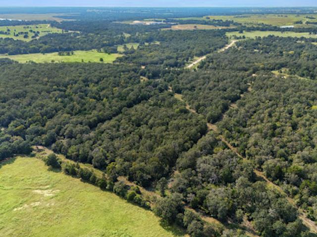 Land for sale in Lexington, Texas