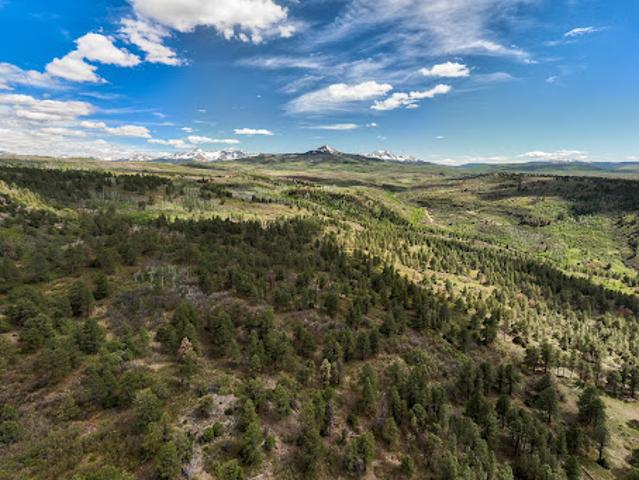 Land for sale in Colorado