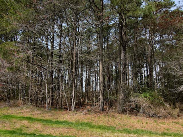 Land for sale in Virginia