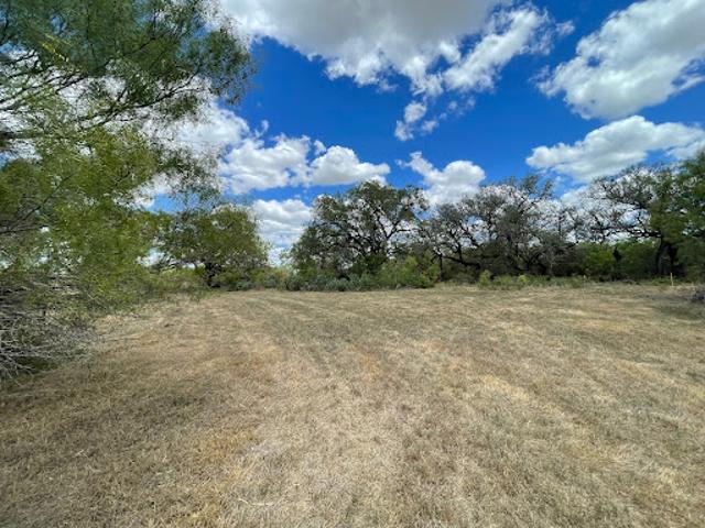 Land for sale in Moore, Texas