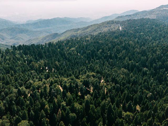 Land for sale in Lake Arrowhead, San Bernardino County