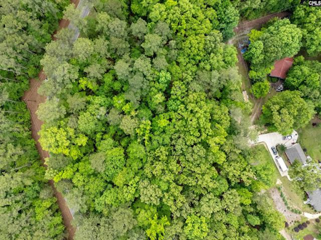 Land for sale in Ridgeway, South Carolina