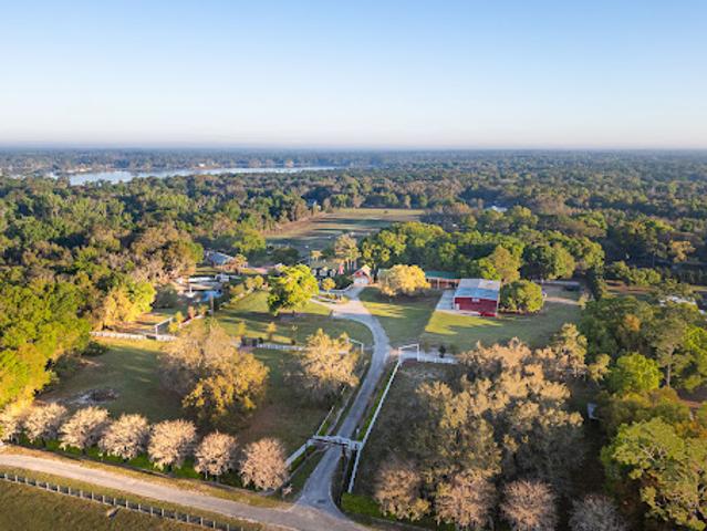 Land for sale in Geneva, Florida