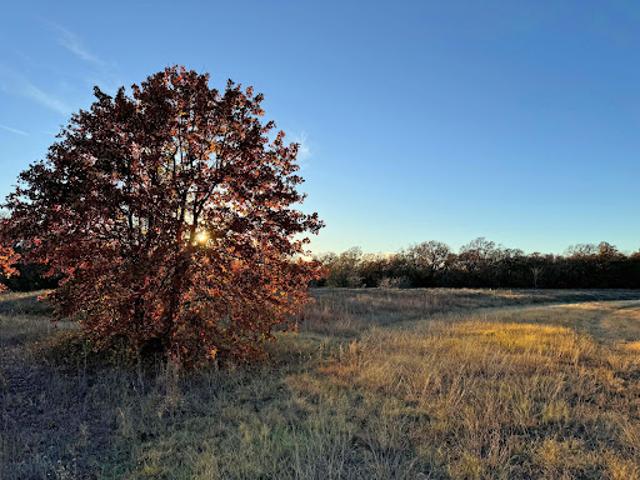 Land for sale in Denton, Texas