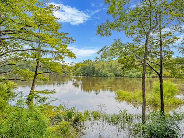 Land for sale in Walton, Florida