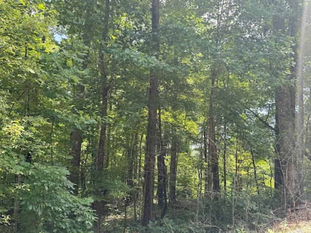 Land for sale in Rutherford, North Carolina