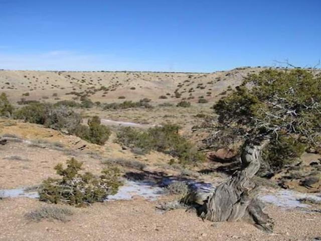 Land for sale in Arizona