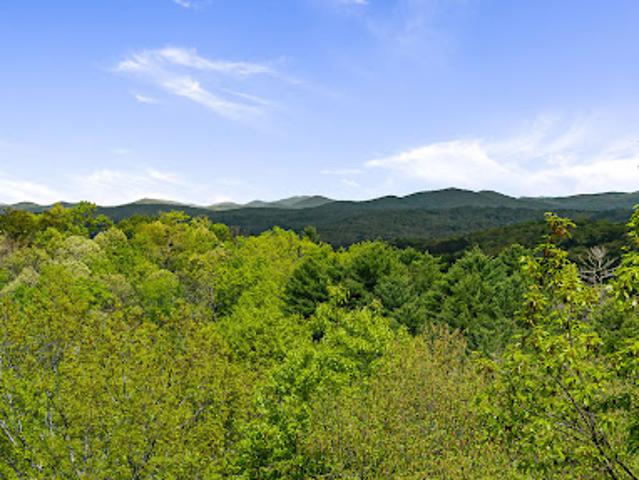 Land for sale in Blue Ridge, Georgia