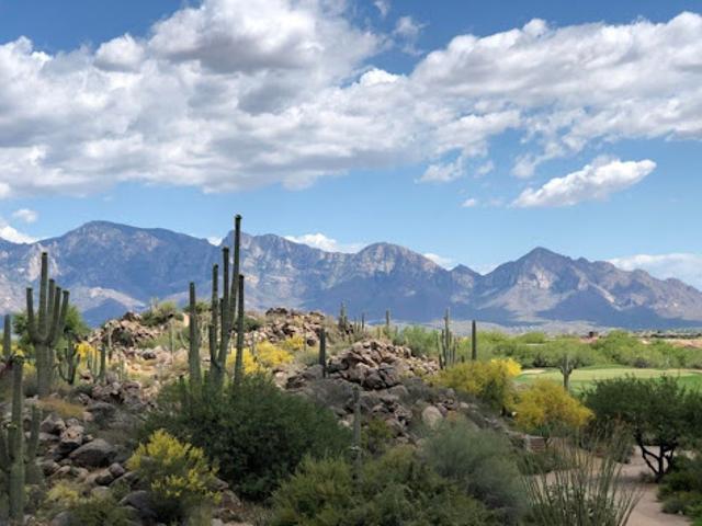 Land for sale in Oro Valley, Arizona