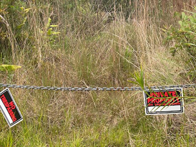 Land for sale in Volcano, Hawaii