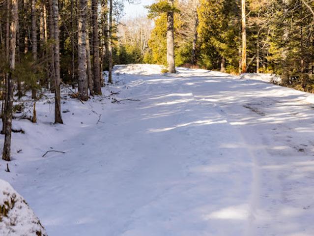 Land for sale in Surry, Maine