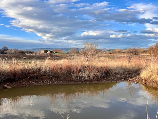 Land for sale in La Plata, Colorado